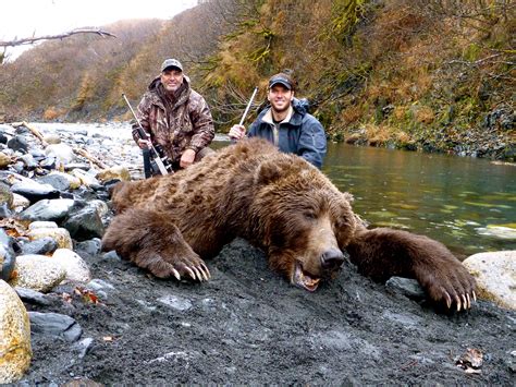 The Ghost Of Mystery Bay Hunting A Giant Brown Bear On Kodiak Island