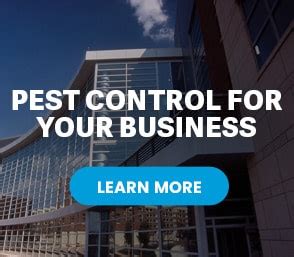 A magnificent clearwater fl landscape is not merely about beauty and design. Pest Control Services Pinellas & Citrus County FL - JD ...