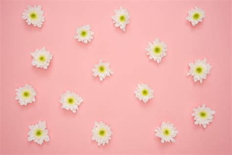 Pastel Pink Aesthetic Desktop Wallpapers Top Free Pas