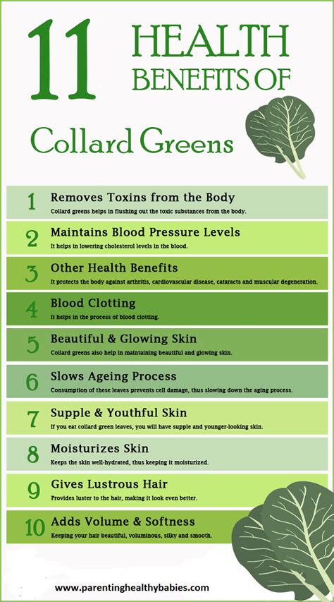 Eleven Impressive Health Benefits Of Collard Greens Coconut Health