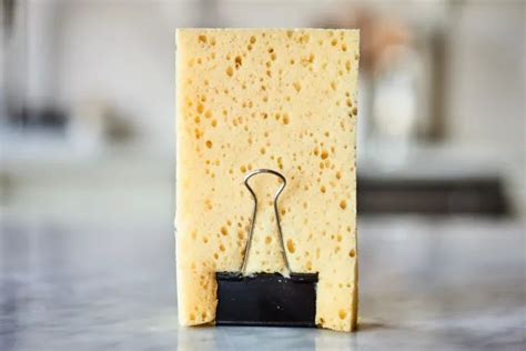 The Free Easy Way To Make Kitchen Sponges Less Gross Kitchen Sponge Kitchen Sponge Holder