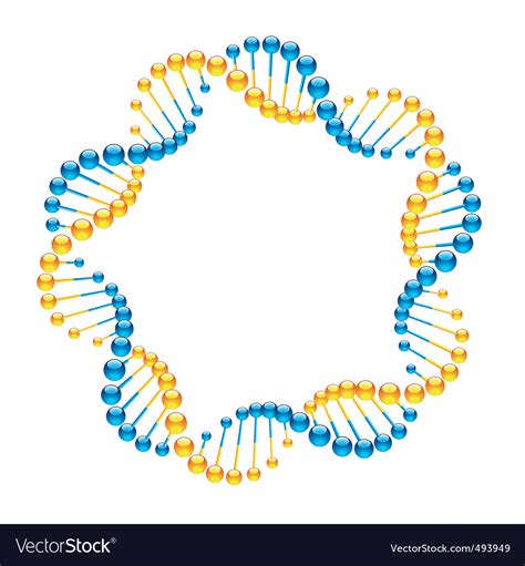 Dna Strands Royalty Free Vector Image Vectorstock