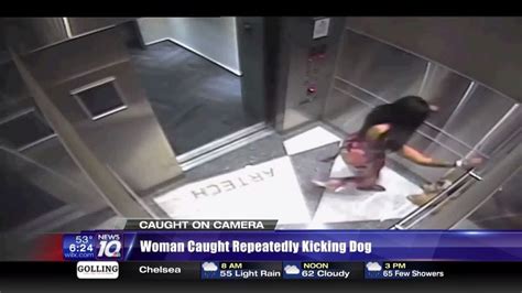 Woman Caught On Surveillance Repeatedly Kicking Dog Inside Elevator