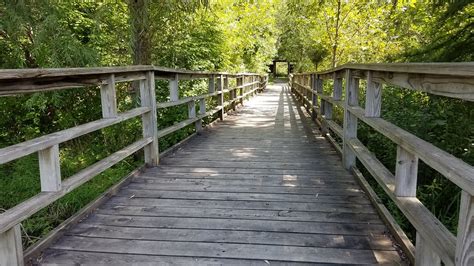 Bridge In Matthaei Botanical Garden Trail Bridge In Mattha Flickr