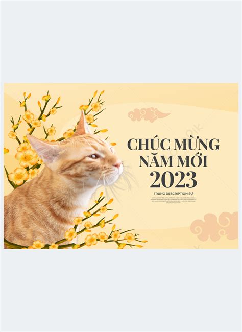 살구 꽃 식물 꽃 고양이 Xiangyun 2023 베트남 새해 봄 축제 휴일 공지 포스터 이미지 사진 468873148 무료 다운로드