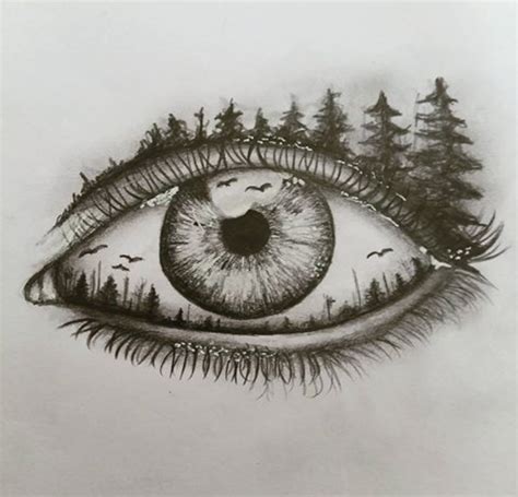 Another Beautiful Drawing Of An Eye Foresteyesketch Cool Eye
