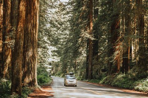 25 Amazing Stops On A 1 Week Pacific Coast Highway Road Trip Itinerary