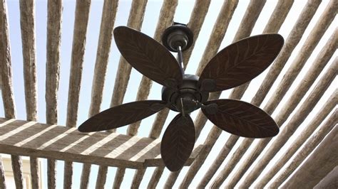 Compared to regular standing fans, ceilings fans are better at circulating air and are much more powerful. 4 Best Outdoor Ceiling Fans For Salt Air In Coastal Areas ...