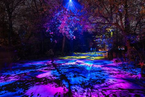 Windsor Great Park Illuminated show opening this Christmas to take you
