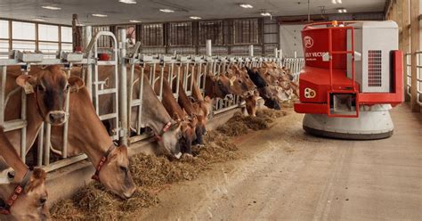 Robotic Milkers And An Automated Greenhouse Inside A High Tech Small Farm Nytimes