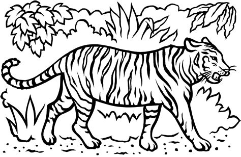 Tiger In The Jungle Coloring Pages Coloring Pages Ideas