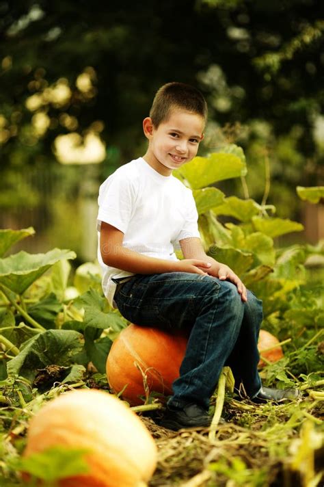 Little Happy Boy Sits On A Big Orange Pumpkin Stock Photo Image Of