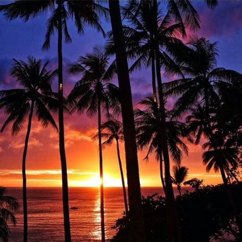 Tropical Sunsets Maui Hawaii Hawaii Travel Island Life Nature