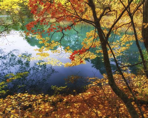 Lake Goshikinuma Fukushima Japan The Color Of Autumn Trees With Yellow