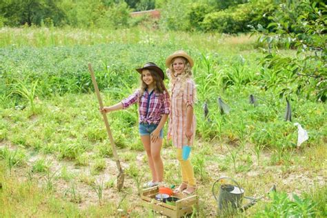 Premium Photo Agriculture Concept Sisters Together Helping At Farm