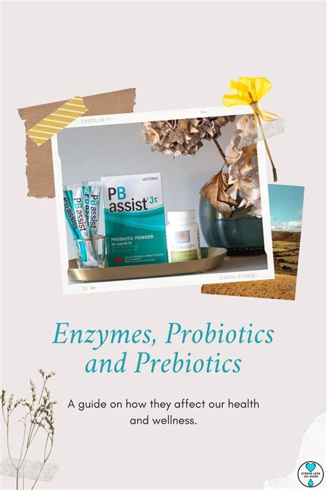 Enzymes Probiotics And Prebiotics You May Wonder What Are The