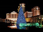 When is it the best time to visit Las Vegas during winter season ...