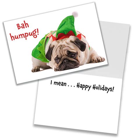 The Holiday Aisle® 20 Piece Cute And Funny Dog Christmas Card Set Wayfair