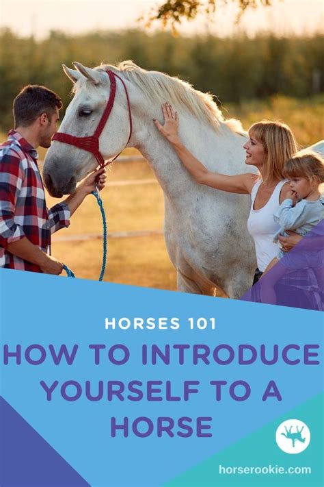 Nice To Meet Ya How To Introduce Yourself To A Horse How To