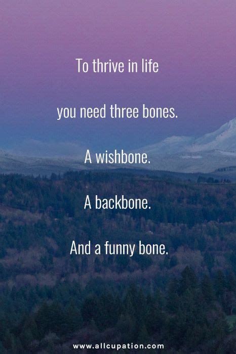 Quotes Of The Day To Thrive In Life You Need Three Bones