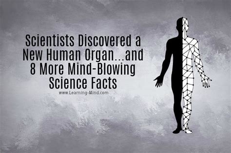9 Amazing Science Facts From Recent Studies That Will Blow Your Mind