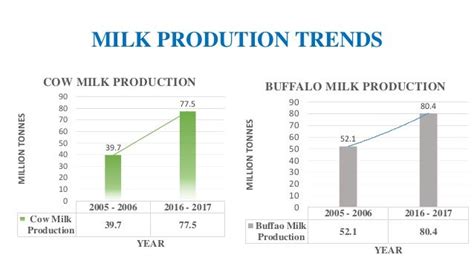 India Milk Production