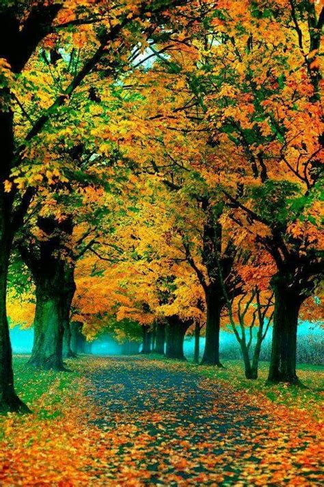 Pin Von Ana Rebeca Sanchez Auf Fall Is Beautiful Herbstbilder