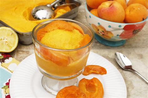 Farm Fresh To You Recipe Apricot Sorbet