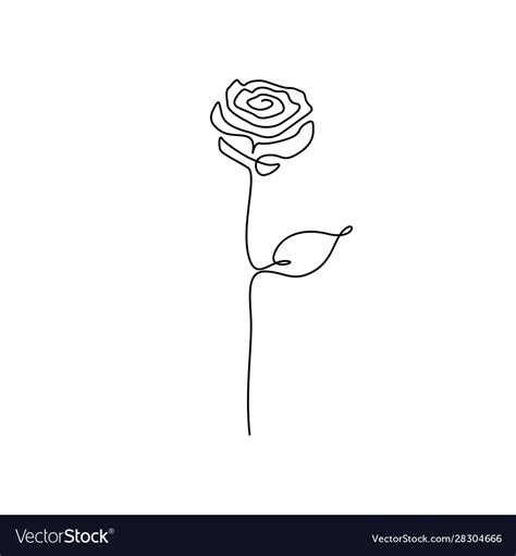 Rose Flower Line Drawing