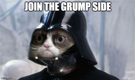 Grumpy Cat Star Wars Memes Imgflip