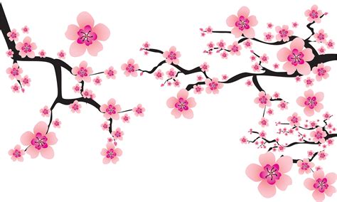 Download Hd Sakura Png Background Bunga Sakura Png Transparent Png