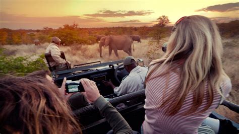 Tips for taking photos on an African safari - G Adventures