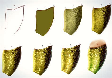 Scales Tutorial By Ryky On Deviantart