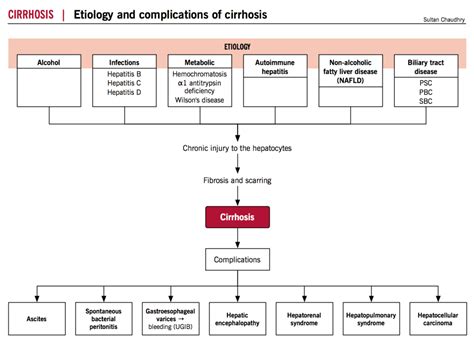 Etiology And Complications Of Cirrhosis Mcmaster Pathophysiology Review