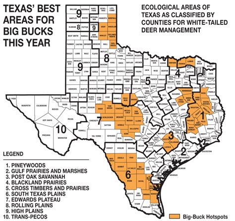 √ Texas Whitetail Deer Hunting Zones Map Alumn Photograph