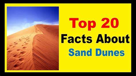 Check spelling or type a new query. Sand Dunes - Facts - YouTube