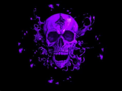Pin By Danielle Santos On Purple Is My Passion Skull Pictures Skull