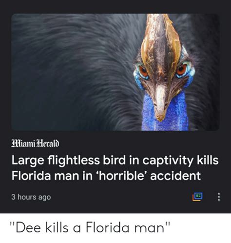 Hiami Herald Large Flightless Bird In Captivity Kills Florida Man In