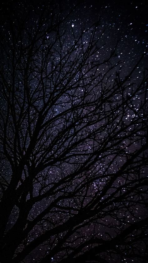 Download Wallpaper 938x1668 Tree Starry Sky Dark Night Iphone 876s