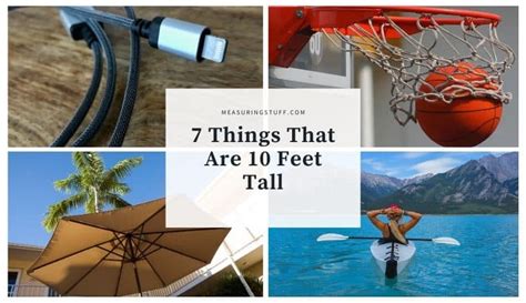 7 Things That Are 10 Feet Tall 5 Will Shock You Page 4