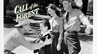 Call of the Forest (1949) | Full Movie | Robert Lowery | Ken Curtis ...