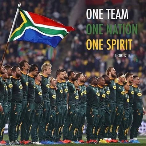 The Lab Congratulations Bokke Against All Odds They Did