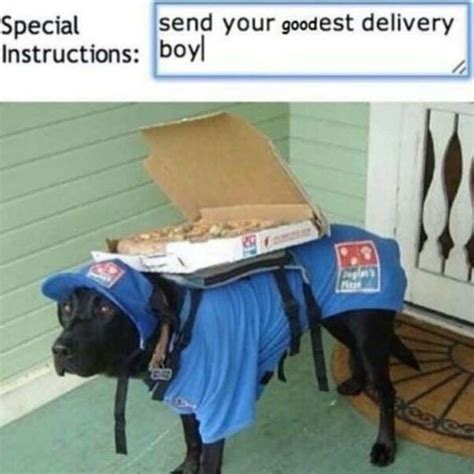 Special Delivery Memebase Funny Memes