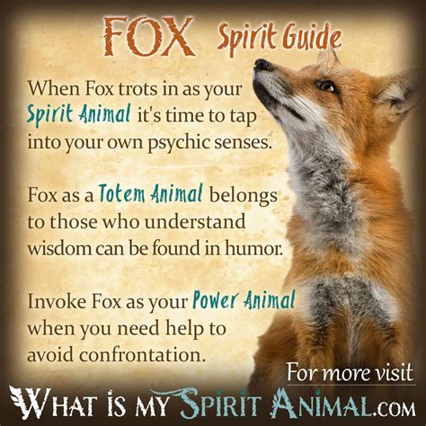 Fox Symbolism And Meaning Spirit Animal Fox Your Spirit