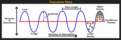 Frequency can be seen as how quickly the wave is oscillating up and down. 32 Draw And Label A Transverse Wave - Labels Database 2020
