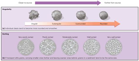 Classes Of Sedimentary Rocks Learning Geology