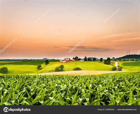 Gorgeous Panoramic Farm Agricultural Scene Corn Field Foreground