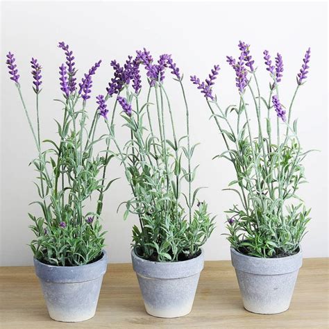 Artificial Lavender Plant In Pot Planta De Lavanda Jardim De Lavanda