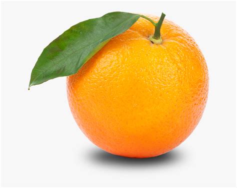 Orangefruitmandarin Foodstangelovegetarian Foodyellowvalencia