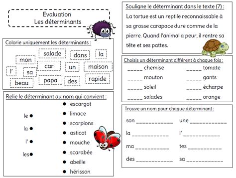 Evaluation Sur Le D Terminant L Ecole De Crevette